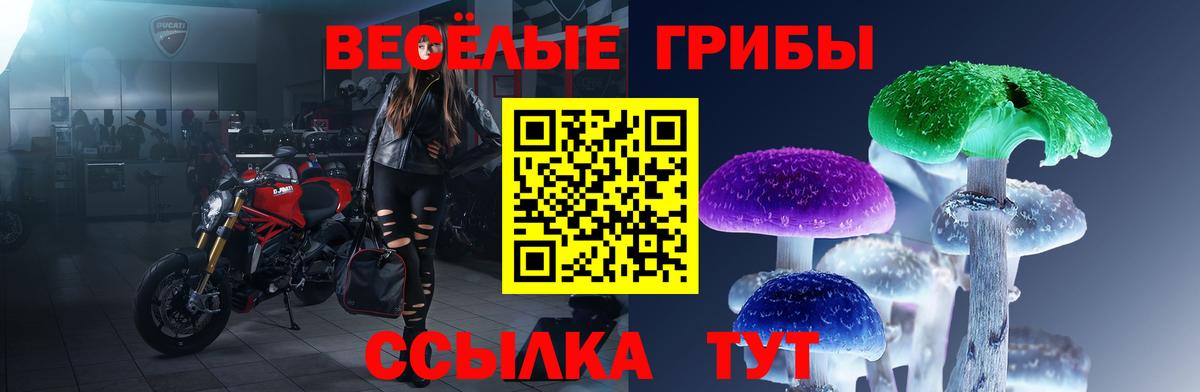 Кызыл  Галлюциногенные грибы ЛСД  Вход с VPN 