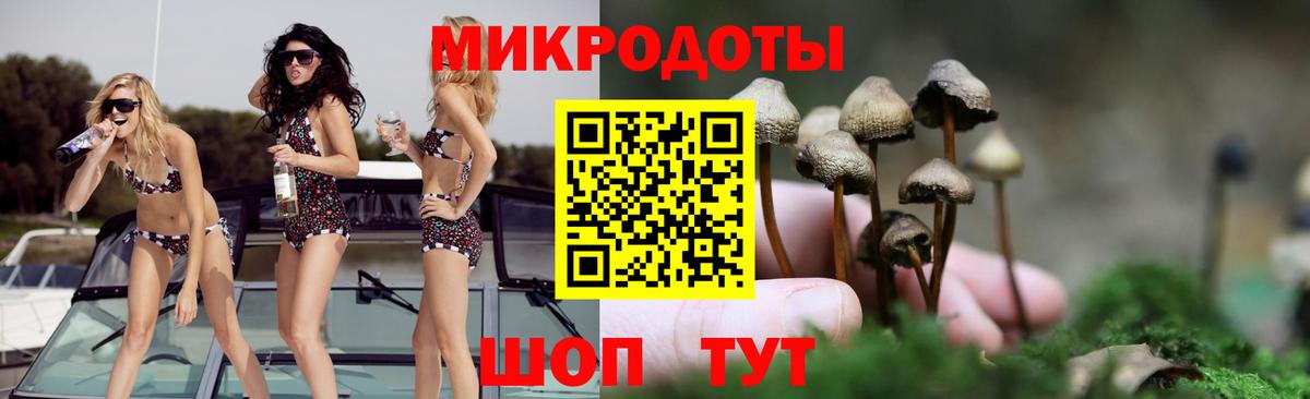 Галлюциногенные грибы прущие грибы Кызыл